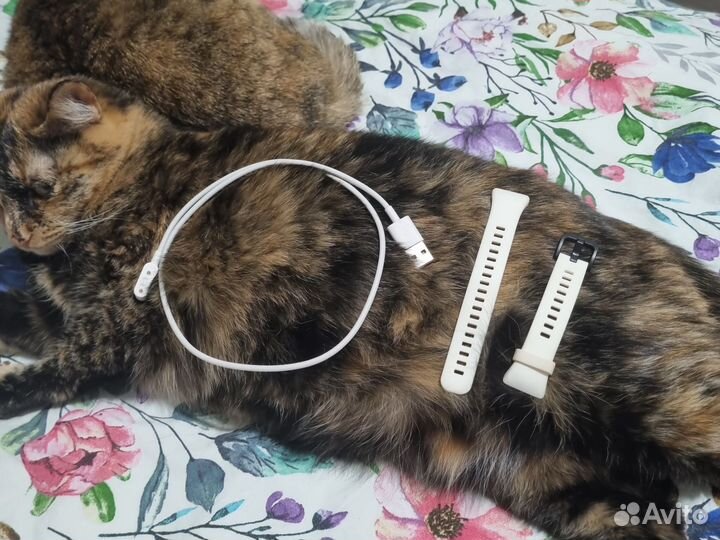 Смарт часы honor band 6