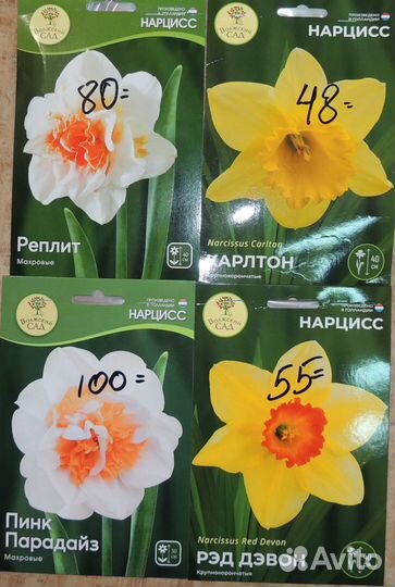 Тюльпан. Нарцисс. Гиацинт. Крокус