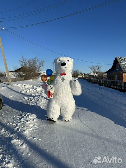 Белый мишка / Ростовой мишка поздравление