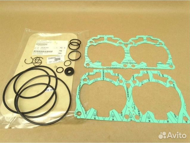 Комплект прокладок (420889923)