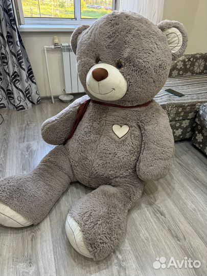 Большой мишка