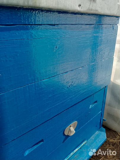 Улики для пчел