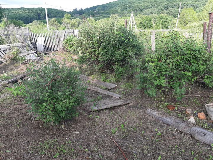 Дом 31 м² на участке 8 сот.