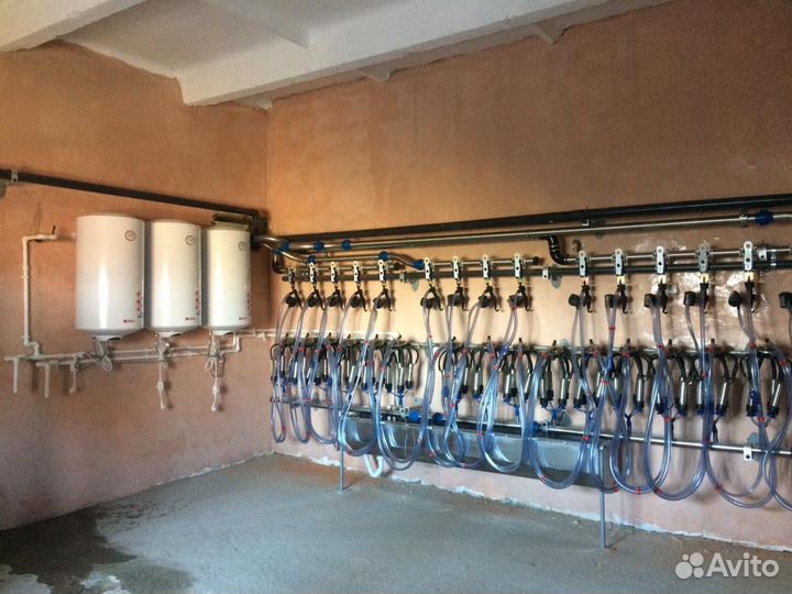 Молокопровод