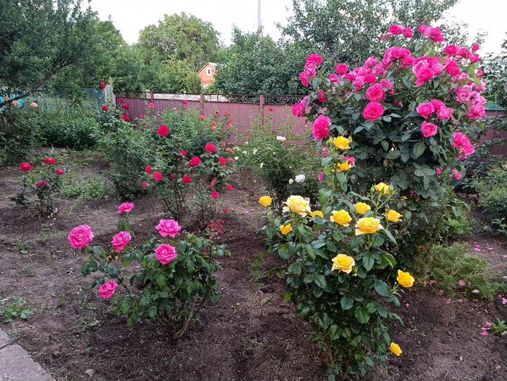 Дом 57,3 м² на участке 50 сот.