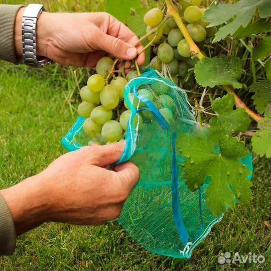 Защитная сетка, мешочки для гроздей винограда