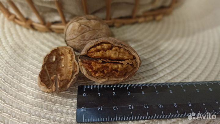 Грецкий орех свежий