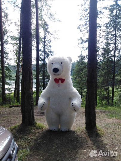 Костюм полярного медведя рост 2,6 м