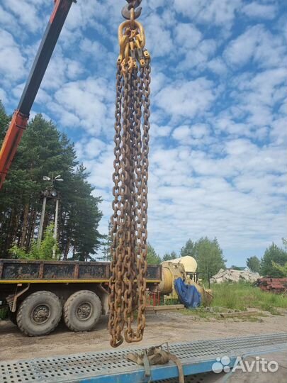 Паук цепной