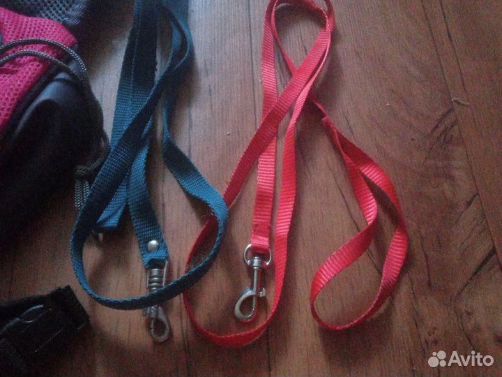 Амуниция для собак и кошек