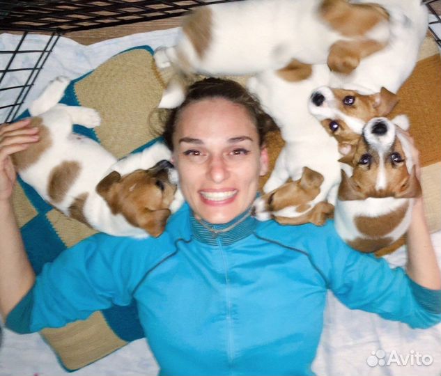 Передержка собак любых пород