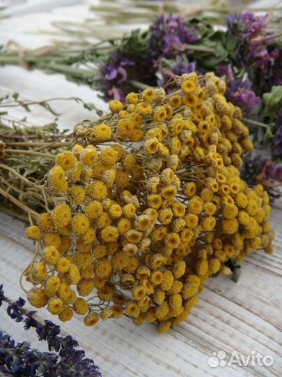 Ароматные и лекарственные травы для свечей и бани