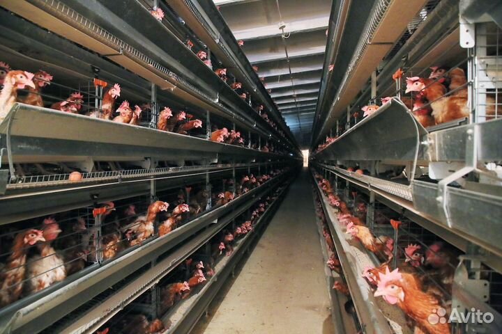 Подсобный рабочий