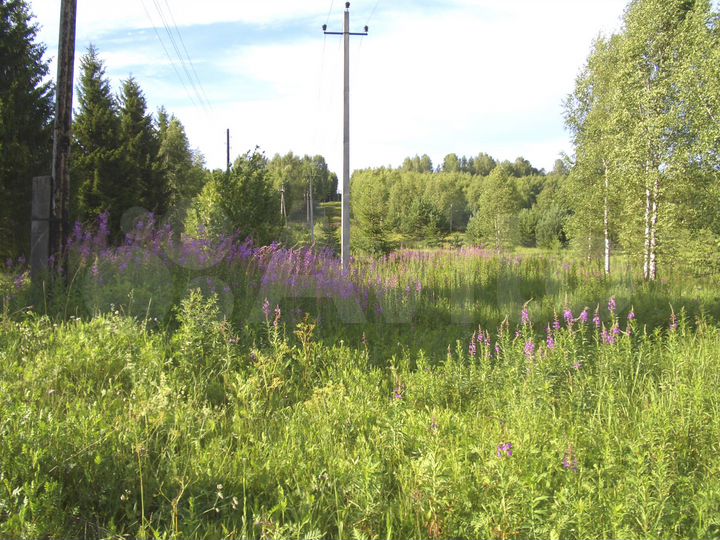 Участок 80,6 га (СНТ, ДНП)