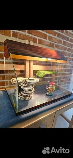 Террариум для красноухой черепахи