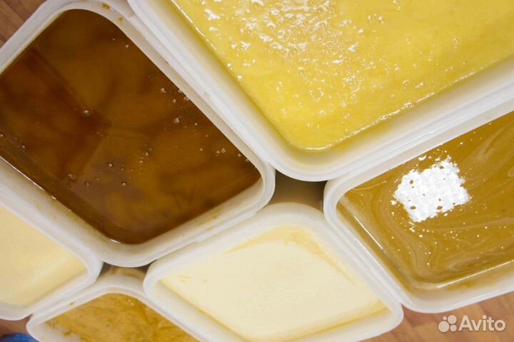 Мёд натуральный из Алтая оптом