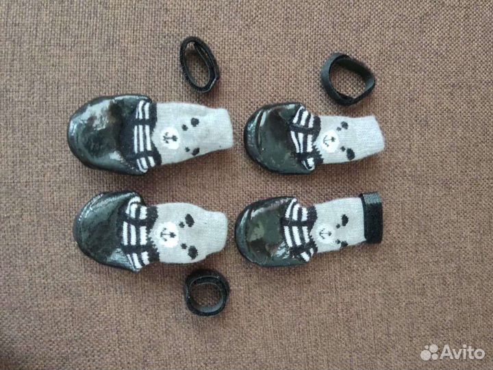 Носочки для собачули 2 пары
