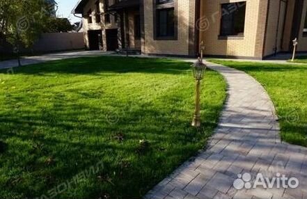 Газон рулонный