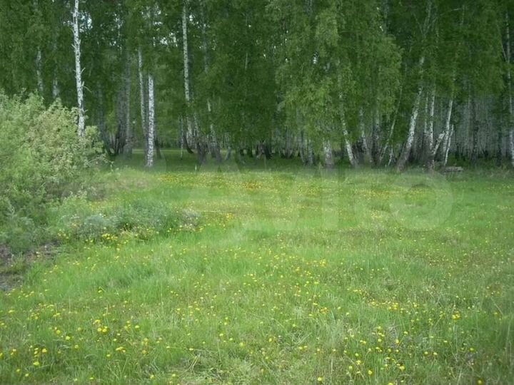 Участок 7 сот. (СНТ, ДНП)