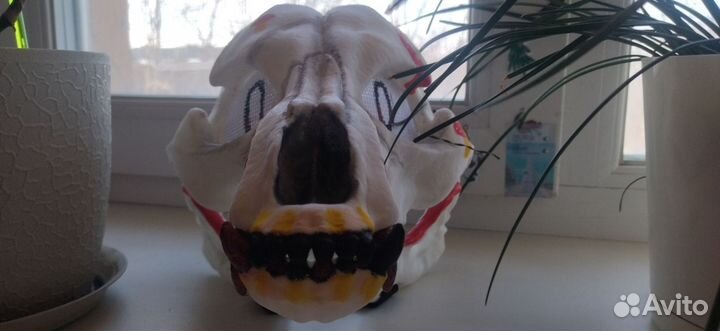 Маска скулл дог