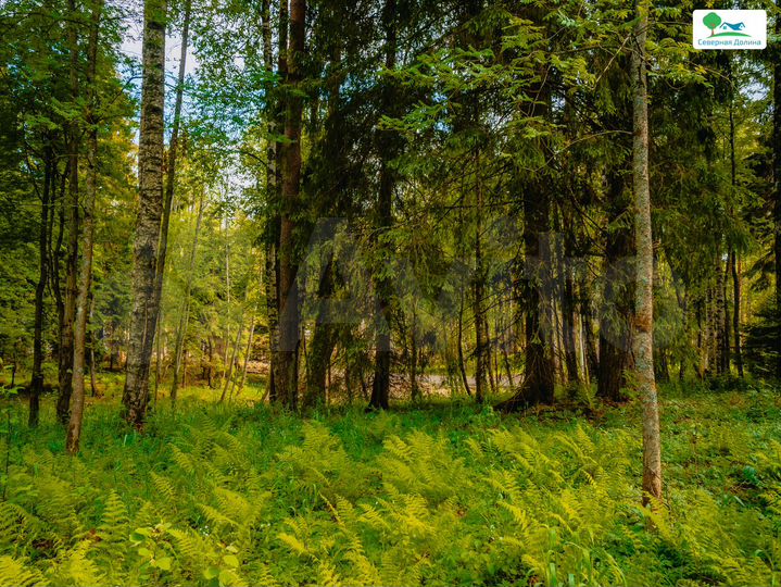 Участок 6 сот. (СНТ, ДНП)