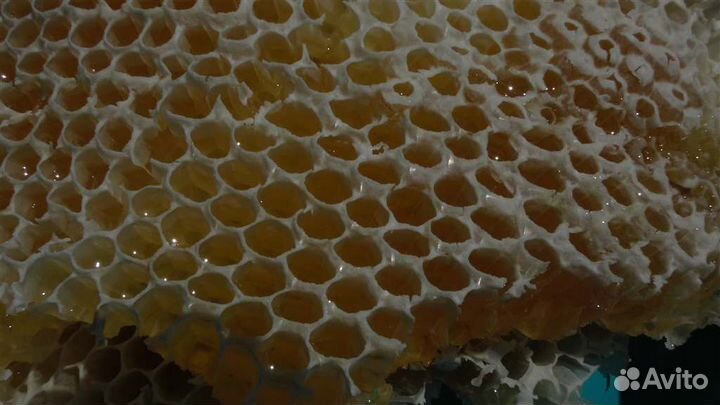 Горный мед Боярышник, Липа, Лес