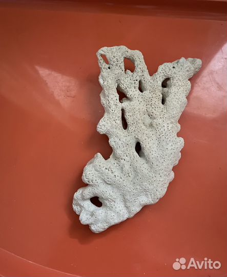 Декорации для аквариума коралл