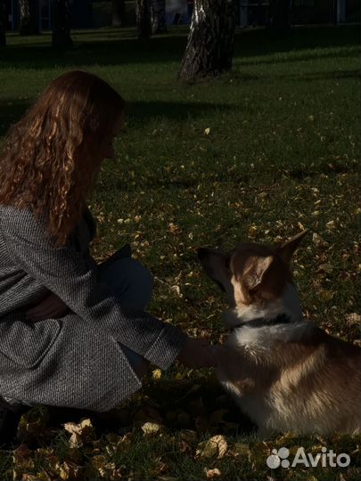 Мобильный фотограф