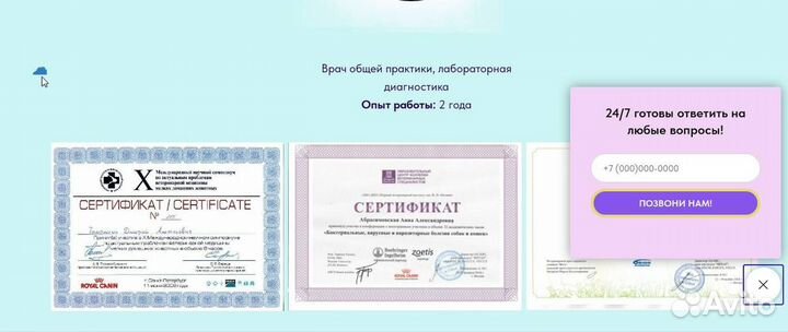 Создание сайта / лендинг на Tilda