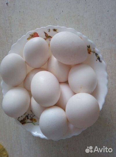 Домашние куриные яйца