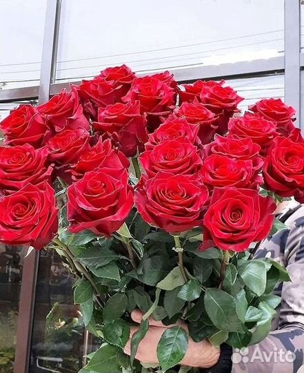 101 роза цветы букеты доставка 25 51 101 роза