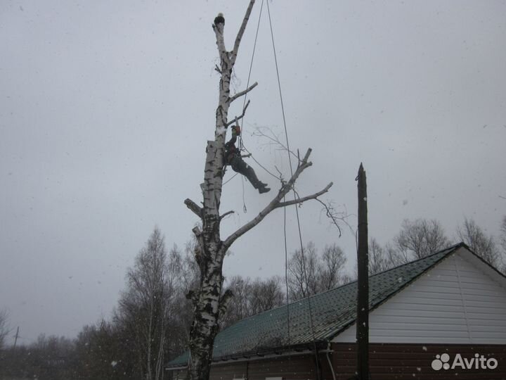 Удаление деревьев