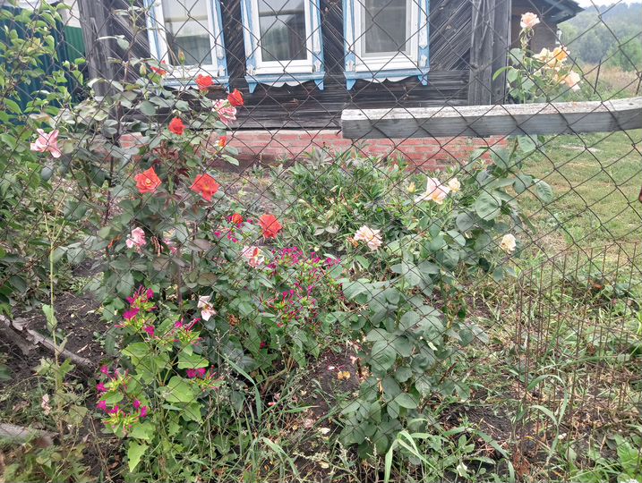 Дом 25 м² на участке 9 сот.