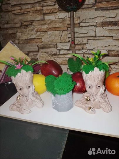 Декоративное кашпо с стабилизированным мхом