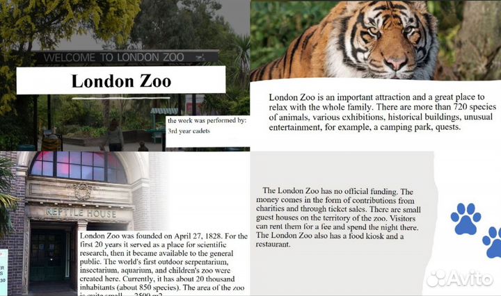 Создание презентаций в power point на заказ