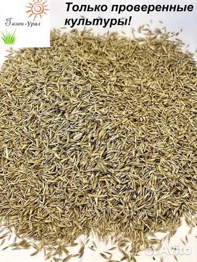 Газон Спортивный