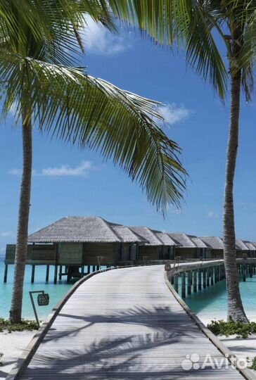 Тур На Мальдивы из Москвы