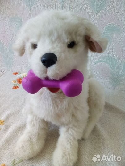 Собака интерактивная, Хасборо, оригинал