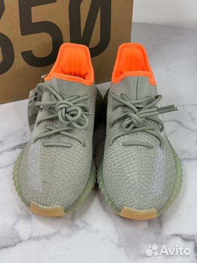 Yeezy 350 V2 Desert Sage