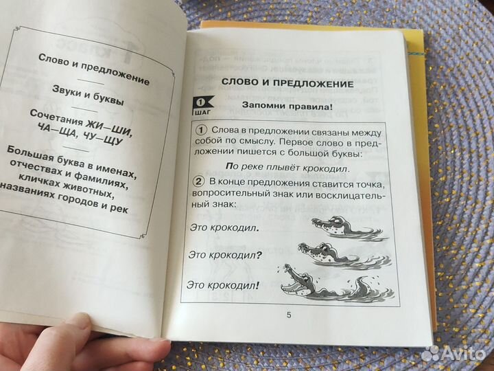 Русский язык за 5 шагов 1-4 классы