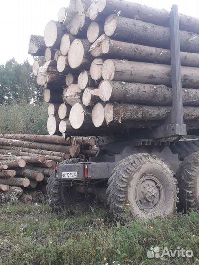 Пиловочник кругляк ель сосна береза осина