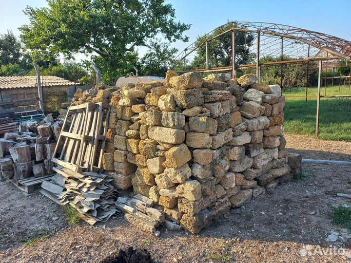 Ракушка разнобой