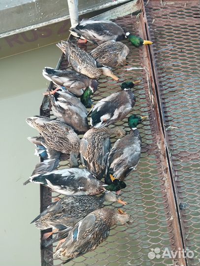 Рыбалка. Охота. Отдых