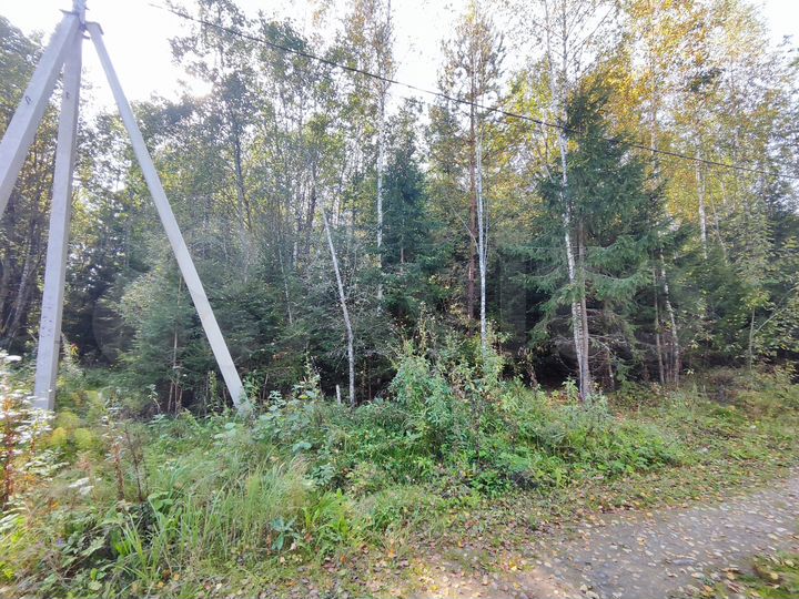 Участок 12 сот. (ИЖС)