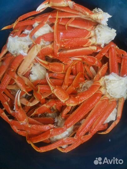 Краб стригун