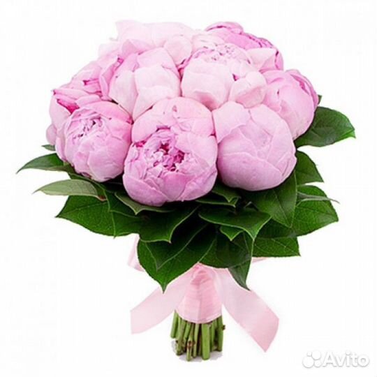 Свежие цветы от склада Доставка