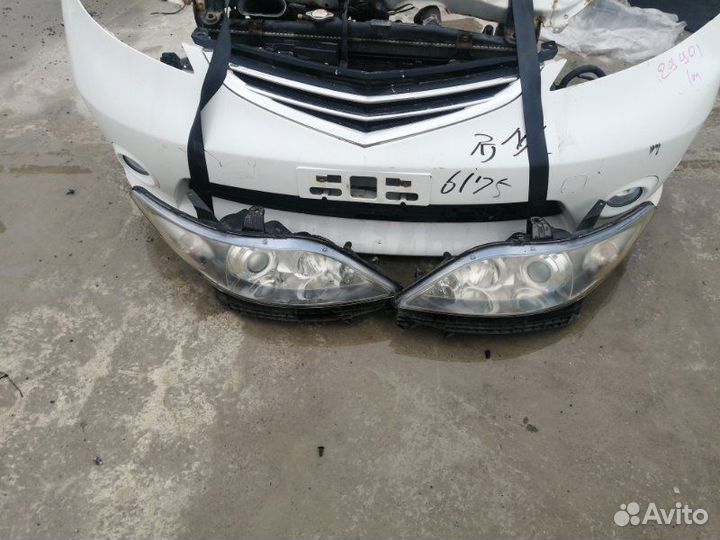 Nose cut Honda Elysion RR1