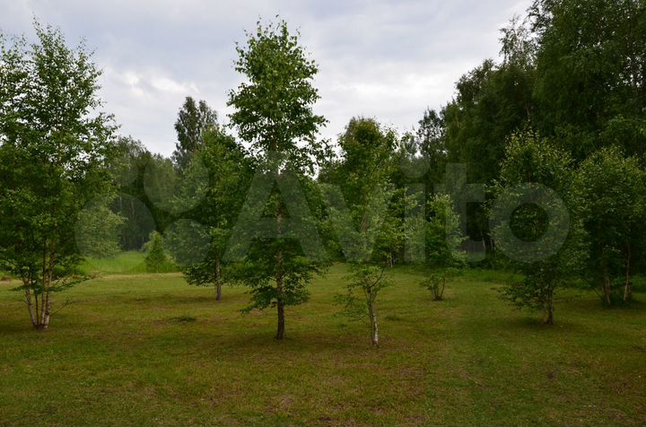 Участок 10 сот. (ИЖС)