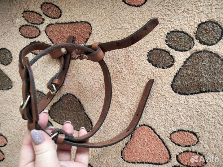 Шлейка для средней собаки