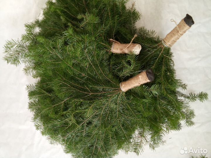 Можжевеловые пихтовое веники для банить в коробке